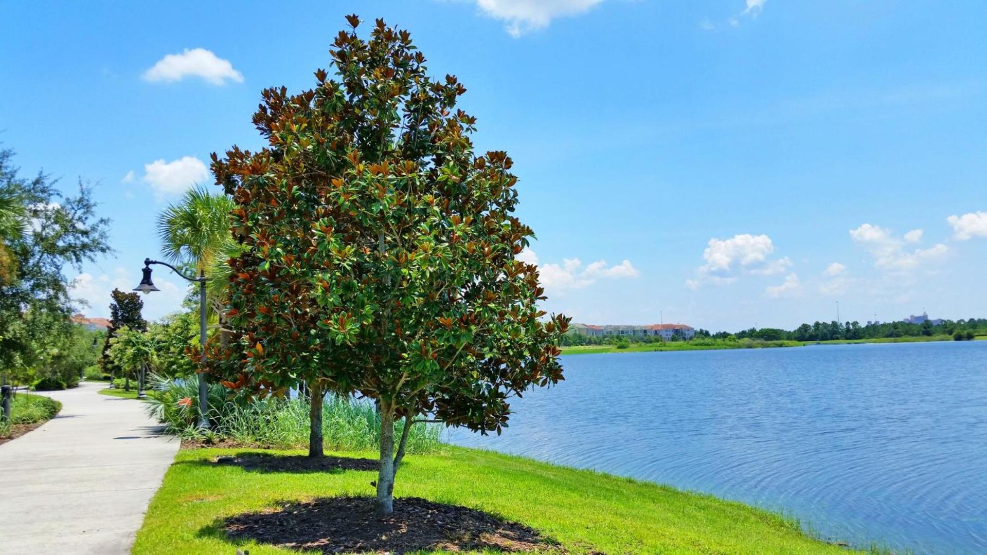 Stylish Vista Cay Townhome Near Conv. Ctr I-Dr. Orlando Buitenkant foto